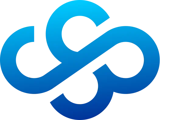 Cloud Services Provider Inc (USA)
